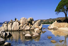 开云体育在线-辽宁福地领跑积分榜，群雄受挑战