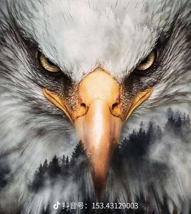 急雄战胜老鹰，里塔恩单节连得分发挥抢眼